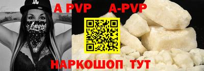 тгк Кингисепп