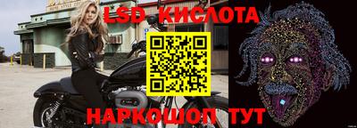 тгк Кингисепп