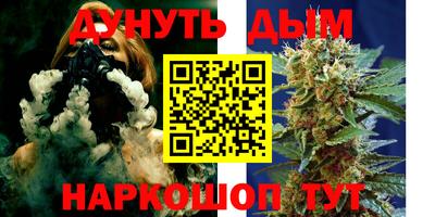 тгк Кингисепп