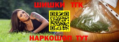 тгк Кингисепп
