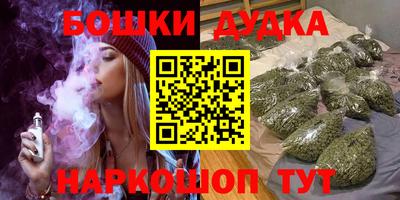 тгк Кингисепп