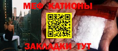 тгк Кингисепп