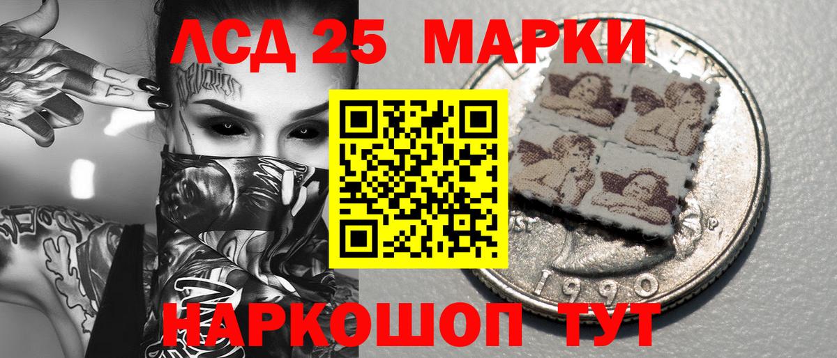Наркотические марки 1500мкг  Вход с VPN  Камышлов  Наркотические марки 1500мкг 