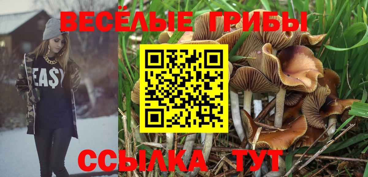 Галлюциногенные грибы GOLDEN TEACHER  Псилоцибиновые грибы MAGIC MUSHROOMS  Камышлов  Вход с VPN 