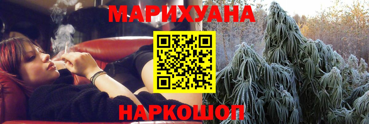 Конопля планчик Камышлов